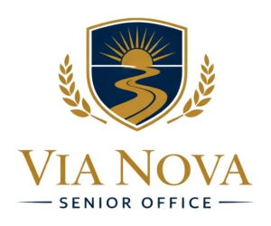 vianova logo transparent